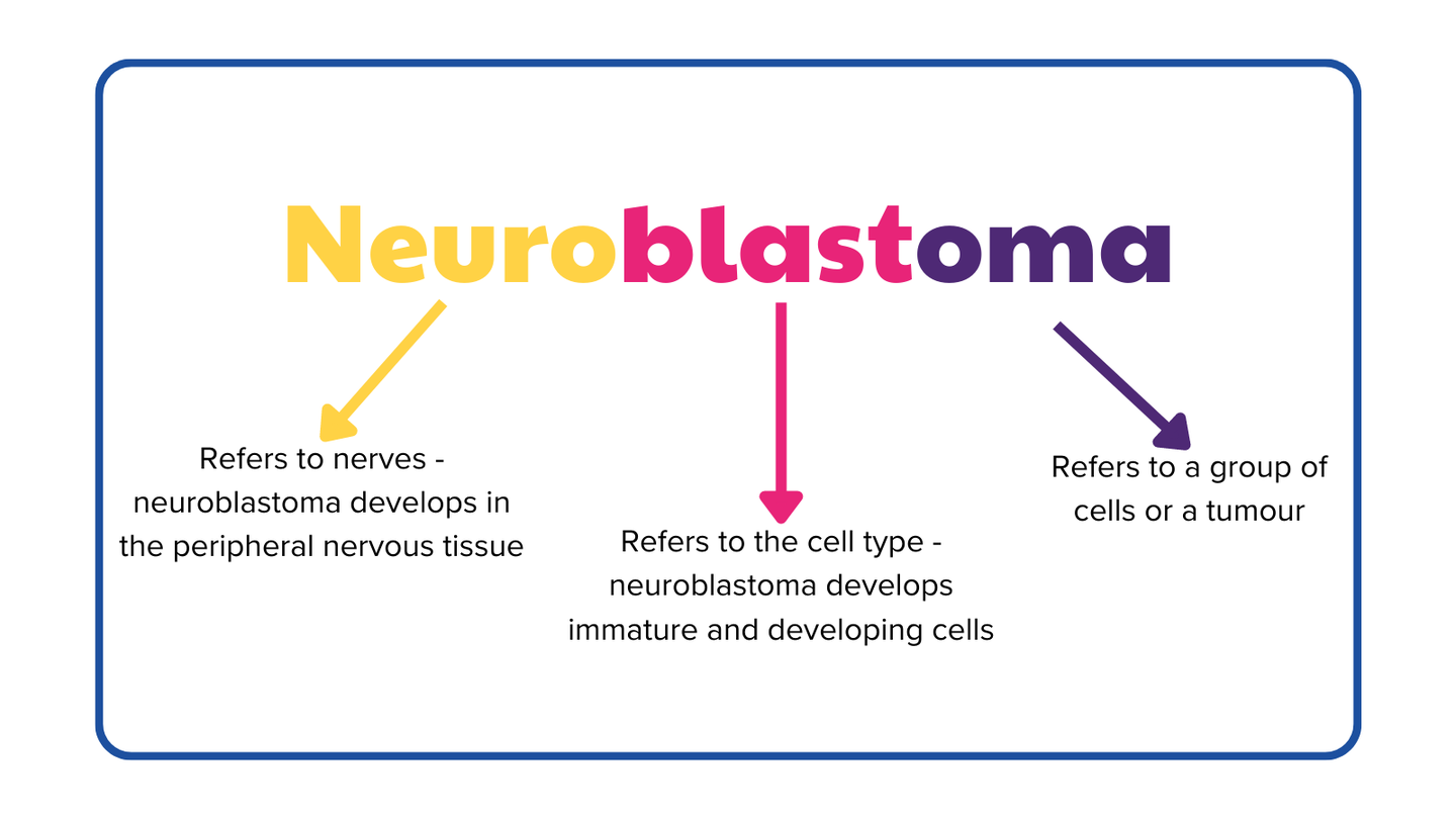 Neuroblastoma Abdominal neuroblastoma-abdominal